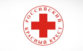 Российский Красный Крест запустил проект по развитию ответственного отношения к здоровью и профилактике половых инфекций