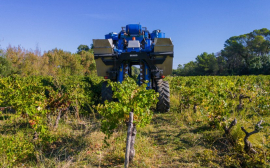 На Кубани запустят уникальное производство виноградных тракторов