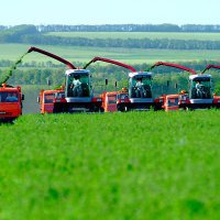 Бюджет Краснодарского края по максимуму ориентирован на развитие сельского хозяйства