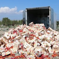 За два месяца на Кубани уничтожено более 13,4 тонн санкционных продуктов&#8205;