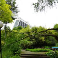 Субтропический ботанический сад в Сочи предлагают сделать особо охраняемой территорией