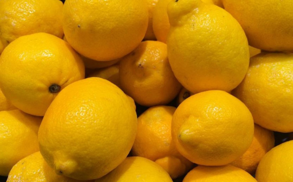 На Кубани в производство лимонной кислоты инвестируют 60 млрд рублей