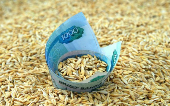 Через порты Краснодарского края экспортировали более 756 тыс. тонн зерна