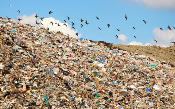 На Кубани построят два завода по утилизации мусора